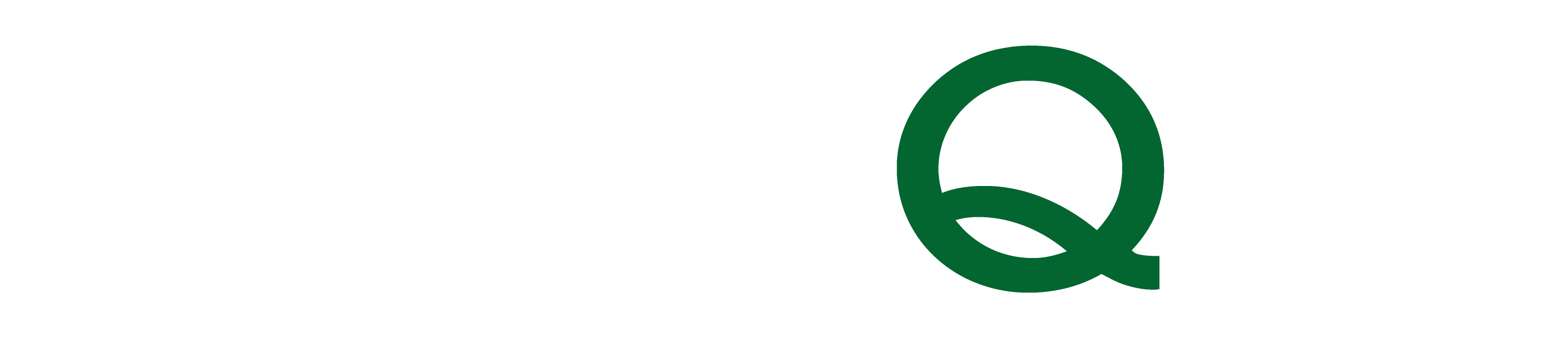 oliQ logo, 47kB